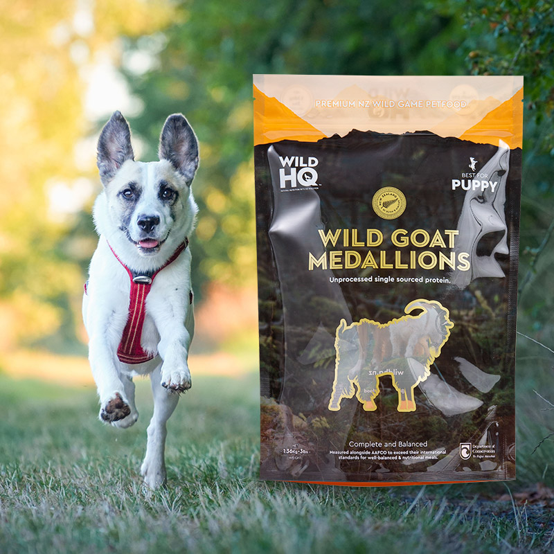 Makukulay na eco-friendly digital printing-low pouch bag ng kape